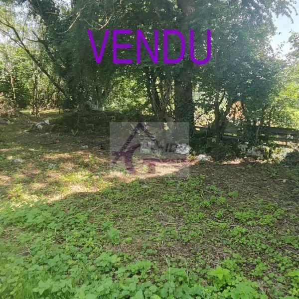 Photo du bien immobilier 185