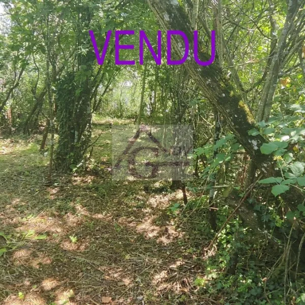 Photo du bien immobilier 185