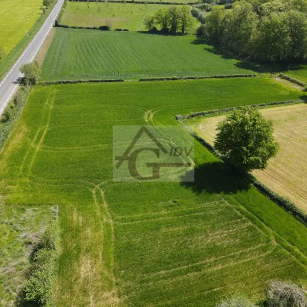 Photo du bien immobilier 196